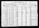 1920 US census